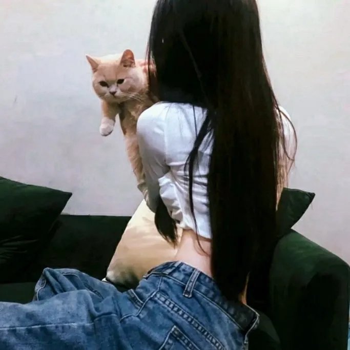 我的女官大人